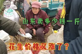 花生价格又涨？青岛大集上花生卖多少钱一斤  看完价格别吃惊视频封面