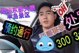 深圳东部大鹏半岛景区8月1日起实行预约通行！自驾前往的注意了视频封面