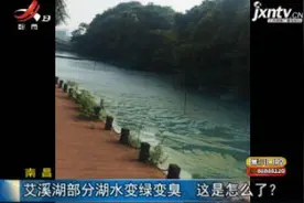 南昌：艾溪湖部分湖水变绿变臭 这是怎么了？