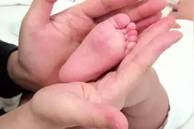 2个月小宝宝的脚趾反射，一碰足底就这反应，太好玩了！