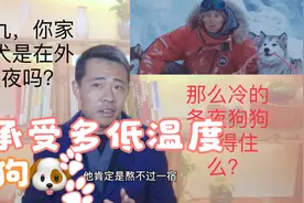 现实生活中，你家的狗狗能承受多少度的低温？视频封面