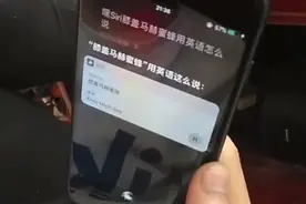 Siri即“树新蜜蜂”后又一新作