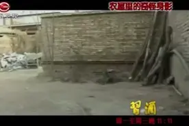 女子瘫痪20年。突然下地站立自由行走。监控拍下诡异一幕。视频封面