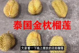 市场上榴莲分等级吗？主要分ABC三个等级，等级不同，口感一样？视频封面