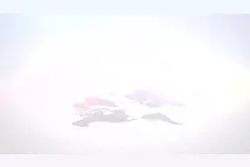 啤酒加食盐秒变除污剂，解决了生活中清洁烦恼，省钱又实用视频封面