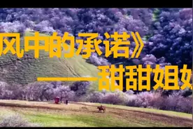 《风中的承诺》——甜甜姐姐视频封面