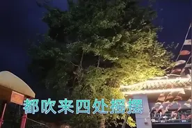 成都:3月26日晚8:05分，吹起了今年的第一阵大风，真的是太大了！视频封面