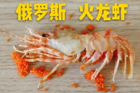 俄罗斯火龙虾！名字酷炫，和小龙虾有啥区别？