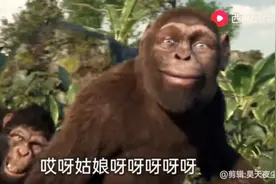 抖音神曲《隔壁的泰山》配上大猩猩跳舞太有喜感了，欢乐无限！