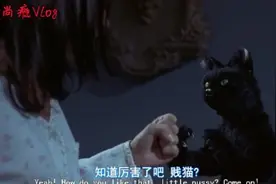 千万，千万，千万别惹猫！因为它真的会把你KO掉！