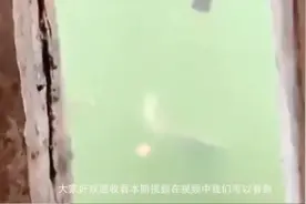 河流上建公厕！下方聚集大量鱼群！网友评论：呼叫钓友！视频封面