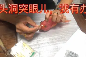 #观赏鱼#鱼 养鱼头洞病，突眼儿病，四虎水族小陈教您如处理