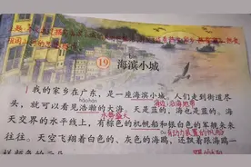三年级语文上册第19课《海滨小城》课文讲解
