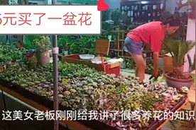 千挑万选花15元买1盆花，没想到美女还传授养花秘诀，太受益了!