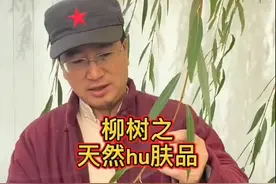 柳树叶和皮一起煎水能解决一切皮肤病，如痘痘痤疮牛皮癣皮肤顽疾视频封面