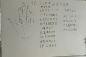 六十纳音手掌速记法视频封面