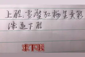 草书对联，上联:雪压红梅呈异彩  诚邀下联视频封面