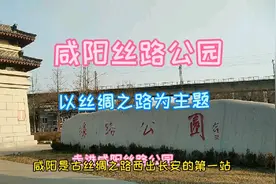 逛冬日暖阳下的咸阳丝路公园，了解“丝路”历史。视频封面