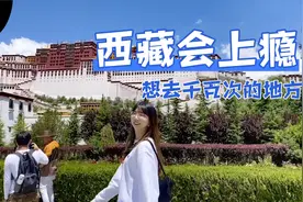 西藏到底有着什么魔力？为什么那么多人10次20次还要去西藏！视频封面