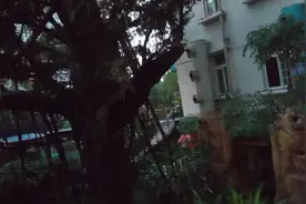 看我如何免费带你游石家庄空中花园，后面有恐怖的事情发生，好怕