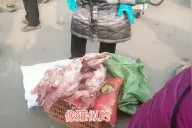 山东潍坊诸城大集上卖貉子肉，50元一只，这种动物肉好吃吗？视频封面