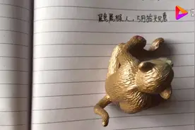 属兔属猴人，5月抬头见喜，一定要看看视频封面