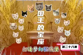 喵星人的第一把“交椅”，猫城堡内的国王宝座视频封面