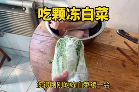 您说白菜冻了还能吃吗？