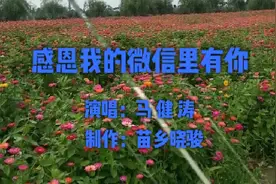 感恩我的微信里有你 祝福 我微信里的你  让我们保持着这联系视频封面