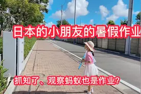 日本小朋友的暑假作业竟然还有抓知了、还有观察蚂蚁？视频封面