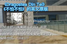 《不怕不怕》的英文原版《Dragostea Din Tei》感受未来城街景