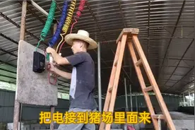 养猪场安装三相电了，免费安装，但是电费贵视频封面