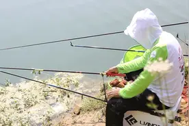 夏季如何垂钓大鲢鳙？这样用饵，分分钟爆护的节奏啊！视频封面