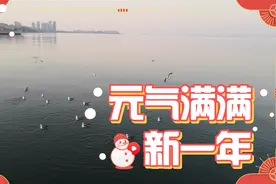 傍晚海边看漂亮的海鸥在自由自在的飞翔！