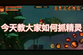 造梦无双教大家怎么抓宠物赞过50有下期