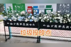 小区实行垃圾分类就是好，定点投放一到九点垃圾桶就撒走有点不好视频封面