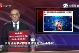 孙小果关系网全查清，书记主动提，扫黑除恶就该“事不避难”！视频封面