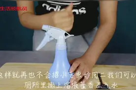 教你自制清新剂，还能杀死厕所里的蚊虫，简直太赞了视频封面