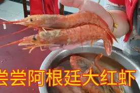 阿根廷红虾个头挺大～～视频封面