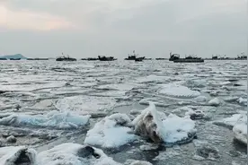 看连云港的海冰凌！视频封面