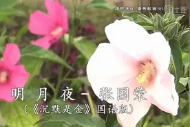 明月夜（沉默是金）国语版！演唱：張国荣视频封面