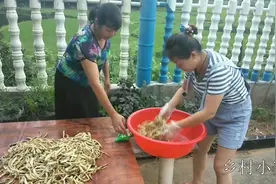 湖南正宗的白辣椒，农村婆媳手把手教你做，方法很简单