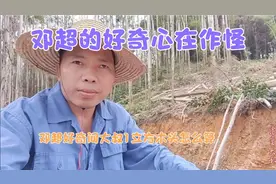 大叔进山伐木，好奇心在作怪，有谁知道1立方啥算出来？