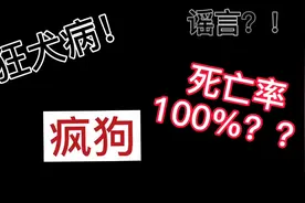 狂犬病毒科普视频封面