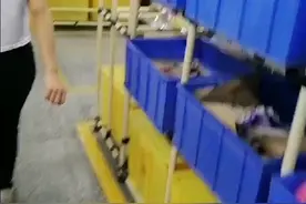 东莞长安美泰玩具厂车间实拍