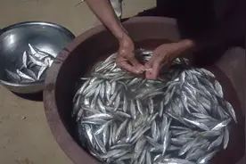 小伙把钓来的白条做成油炸酥脆鱼，做法简单，全家人都爱吃！视频封面
