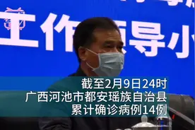 河池：都安县疫情严峻，已确诊14例，封闭式管理阻断病毒传播视频封面
