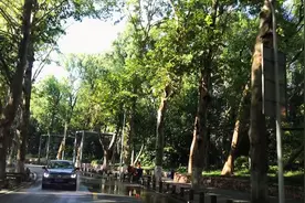 武汉东湖风景区免门票，但都需要网上提前预约，预约当天的看运气视频封面