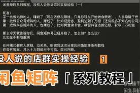 闲鱼矩阵系列教程，没人说的闲鱼店群实操经验！