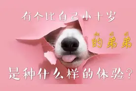 有个比自己小十岁的弟弟，是种什么样的体验？盘点有弟弟的好处！